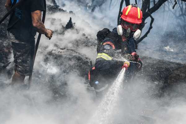 Αιγιάλεια: Υπό μερικό έλεγχο η πυρκαγιά στο Νέο Ερινεό