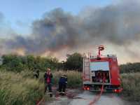 Πυρκαγιές σε Φθιώτιδα και Βοιωτία- Δεν απειλούνται κατοικίες